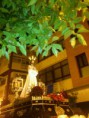 /album/fotogaleria/a415835-391338520890605-100000433812955-1347725-1736363663-o-jpg/